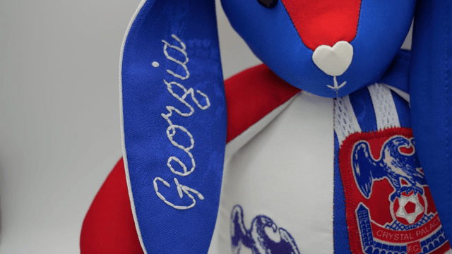 Sports Team Custom Bear or Bunny